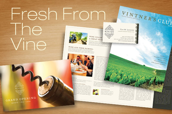 Winery Business Graphic Design Templates