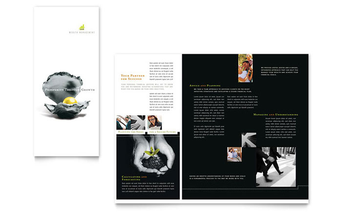 Wealth Management Services - Brochure Template Design