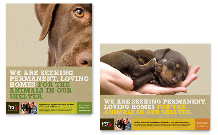 Poster Template Design - Animal Shelter & Pet Adoption