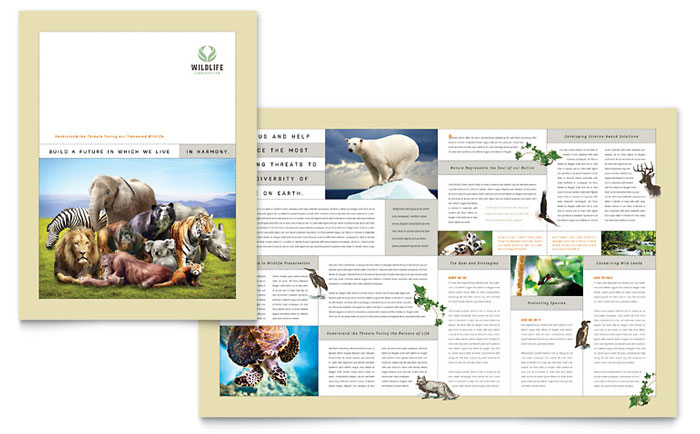 Nature & Wildlife Conservation - Brochure Template Design Sample